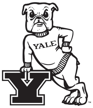 Yale Bulldogs 1972-1997 Primary Logo DIY iron on transfer (heat transfer)